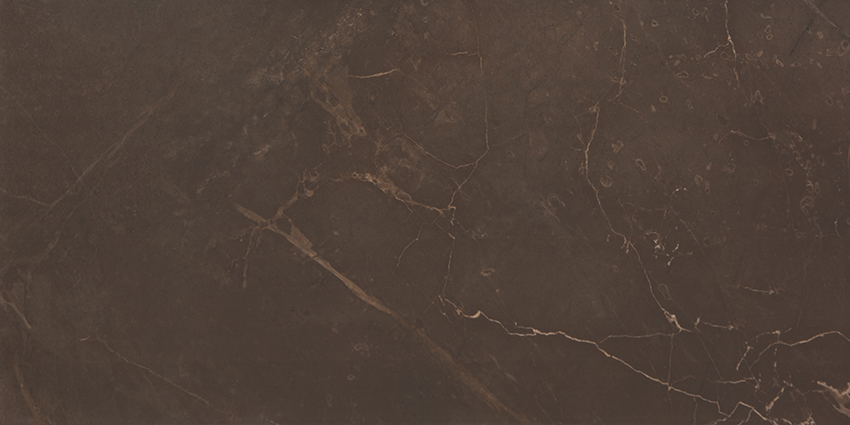 

Керамическая плитка AltaСera Fiore Crema Marble Marron Настенная WT9MRB21 24,9х50