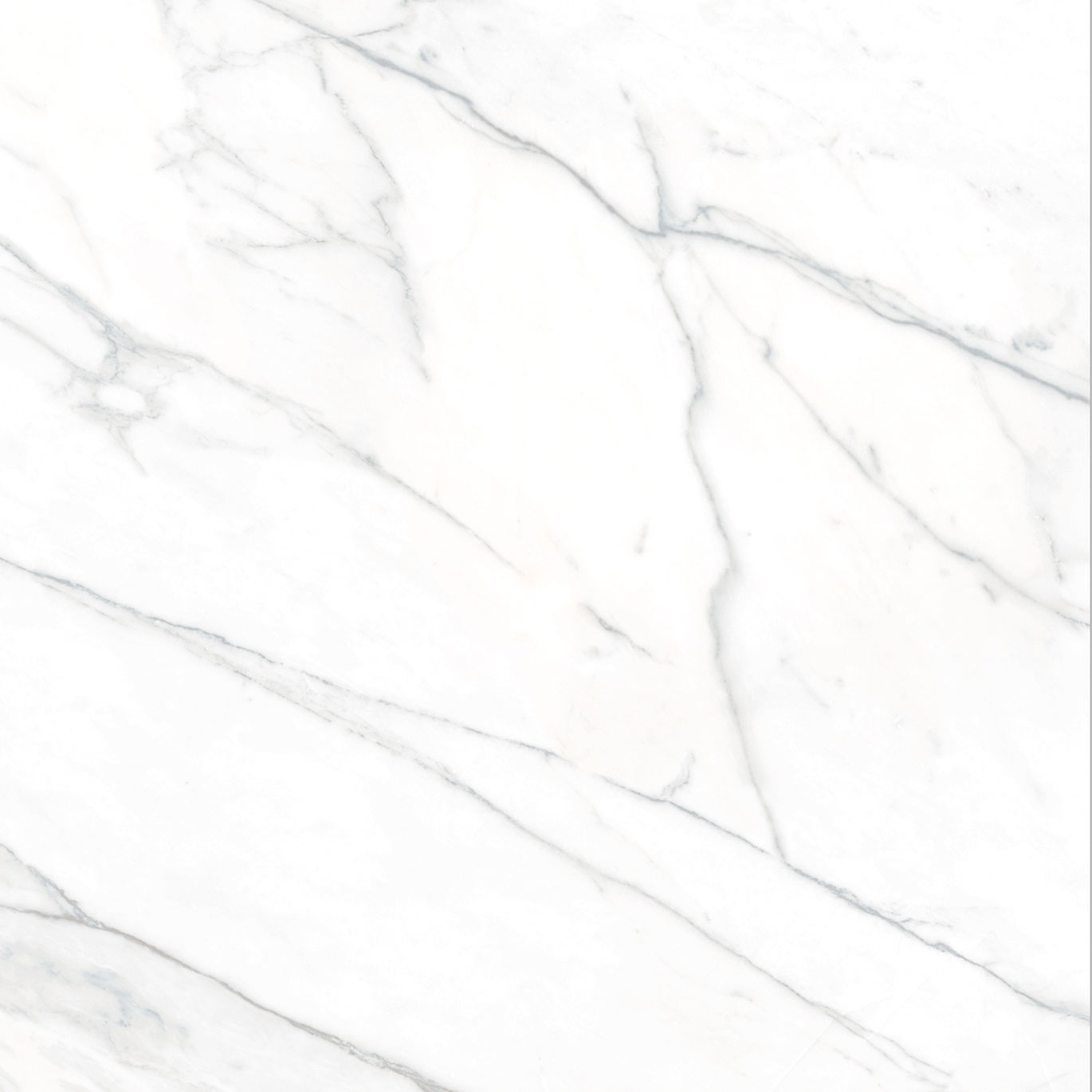 

Керамогранит Tau Ceramica Varenna Carrara (mat) Rect. 60x60