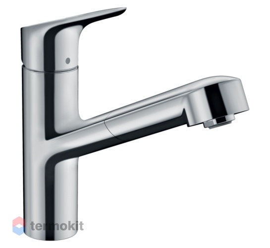 Смеситель для кухни Hansgrohe Focus M43 71842000