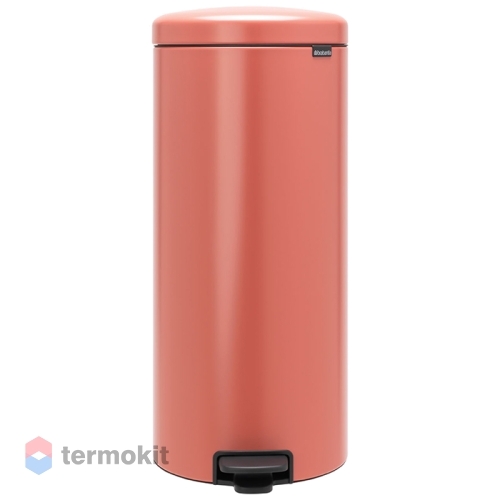 Мусорный бак Brabantia NewIcon 30 л терракотовый 304361