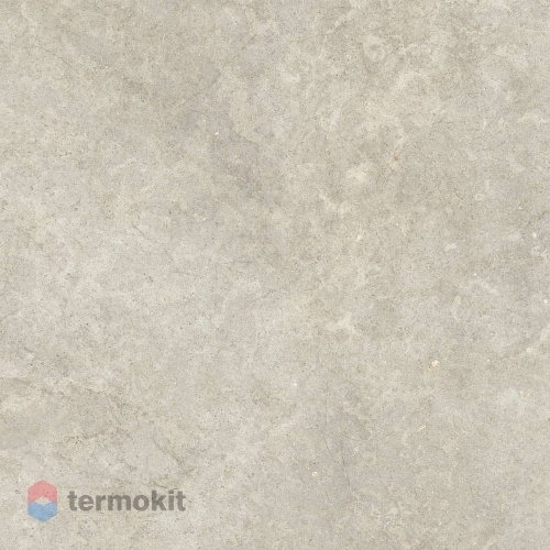 Керамогранит Ragno Richmond RALK Taupe Rett 100x100